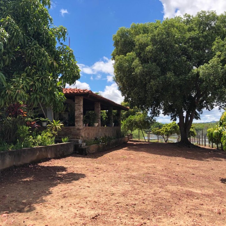 Excelente Fazenda em Boa Vista do Tupim com 2.760 tarefas