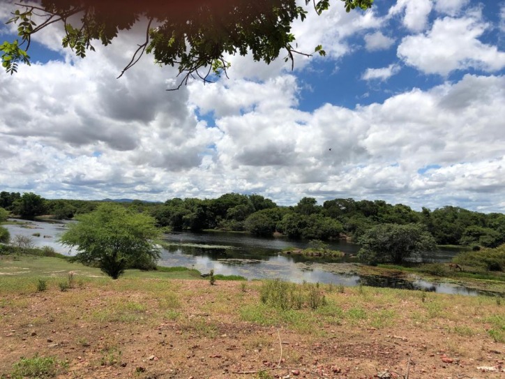 Excelente Fazenda em Boa Vista do Tupim com 2.760 tarefas