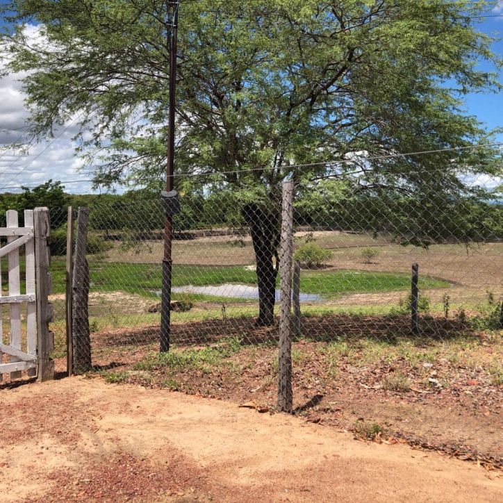 Excelente Fazenda em Boa Vista do Tupim com 2.760 tarefas