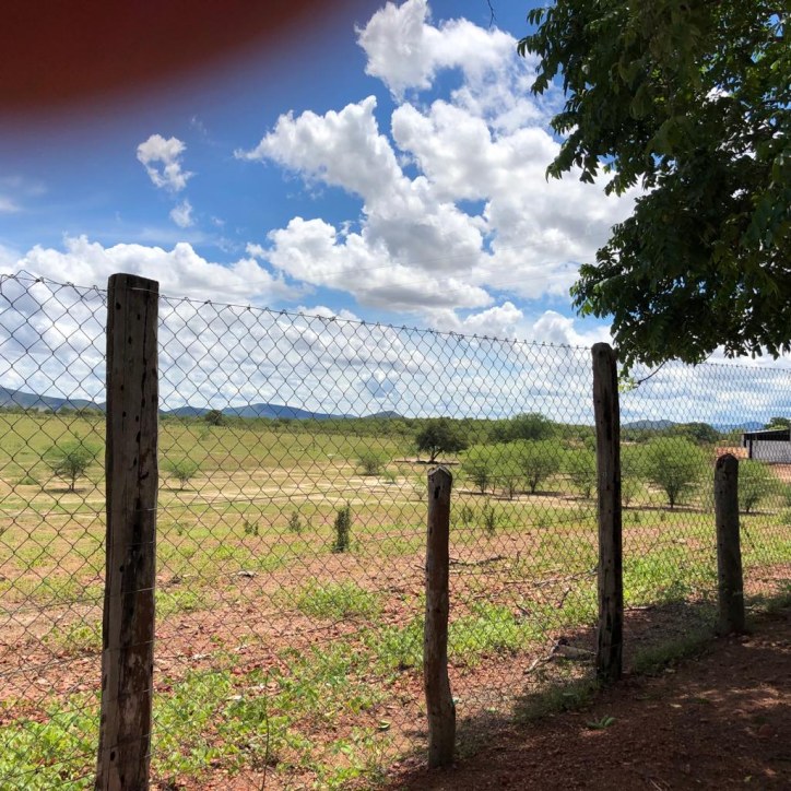 Excelente Fazenda em Boa Vista do Tupim com 2.760 tarefas