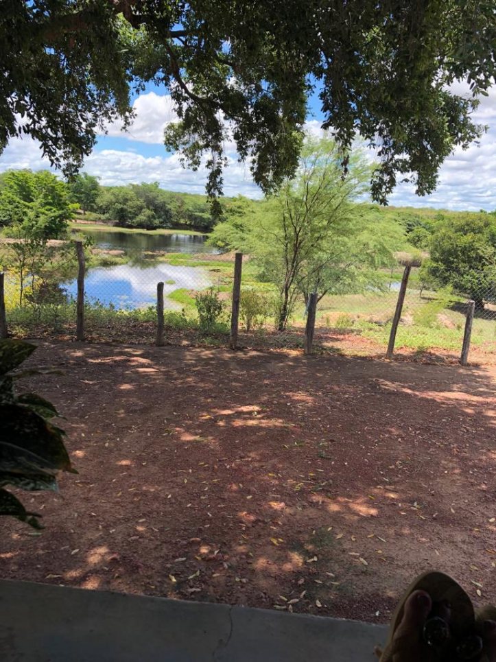 Excelente Fazenda em Boa Vista do Tupim com 2.760 tarefas