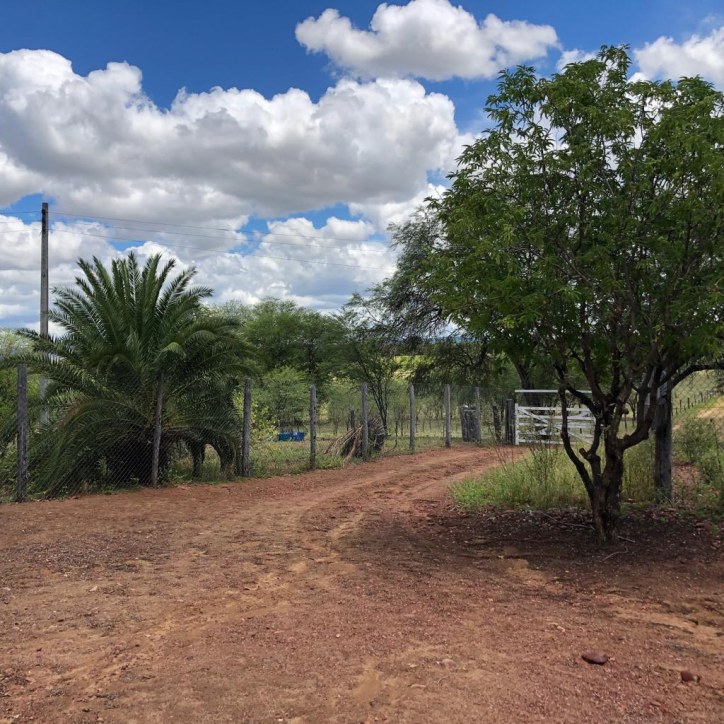 Excelente Fazenda em Boa Vista do Tupim com 2.760 tarefas