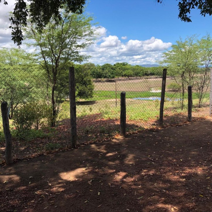 Excelente Fazenda em Boa Vista do Tupim com 2.760 tarefas
