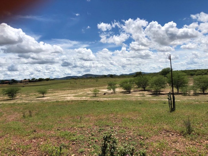 Excelente Fazenda em Boa Vista do Tupim com 2.760 tarefas