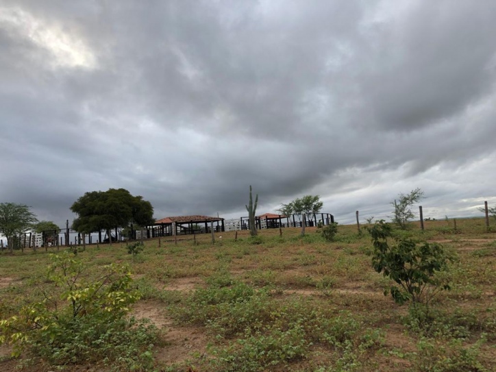 Excelente Fazenda em Boa Vista do Tupim com 2.760 tarefas