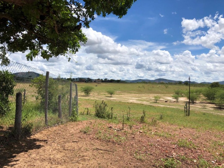 Excelente Fazenda em Boa Vista do Tupim com 2.760 tarefas