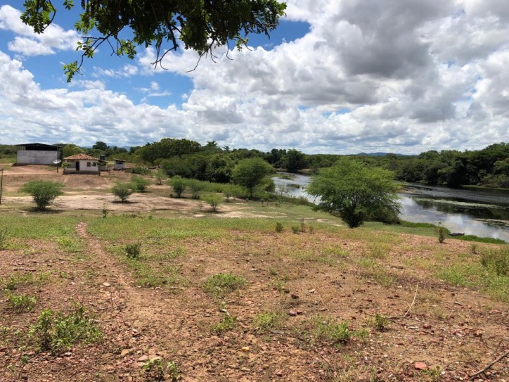 Excelente Fazenda em Boa Vista do Tupim com 2.760 tarefas