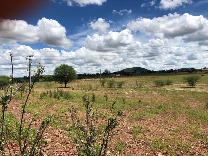 Excelente Fazenda em Boa Vista do Tupim com 2.760 tarefas