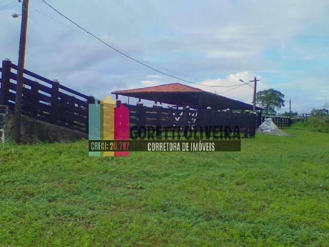 #466 - Fazenda para Venda em Ruy Barbosa - BA - 3